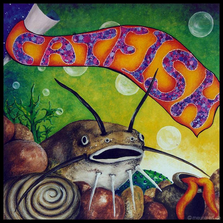 01 Catfish Plattencover
